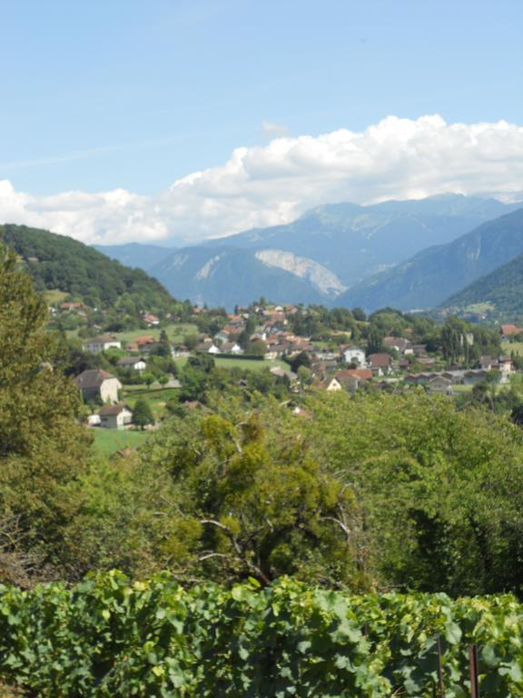 Hotel Bellevue Ayse Buitenkant foto